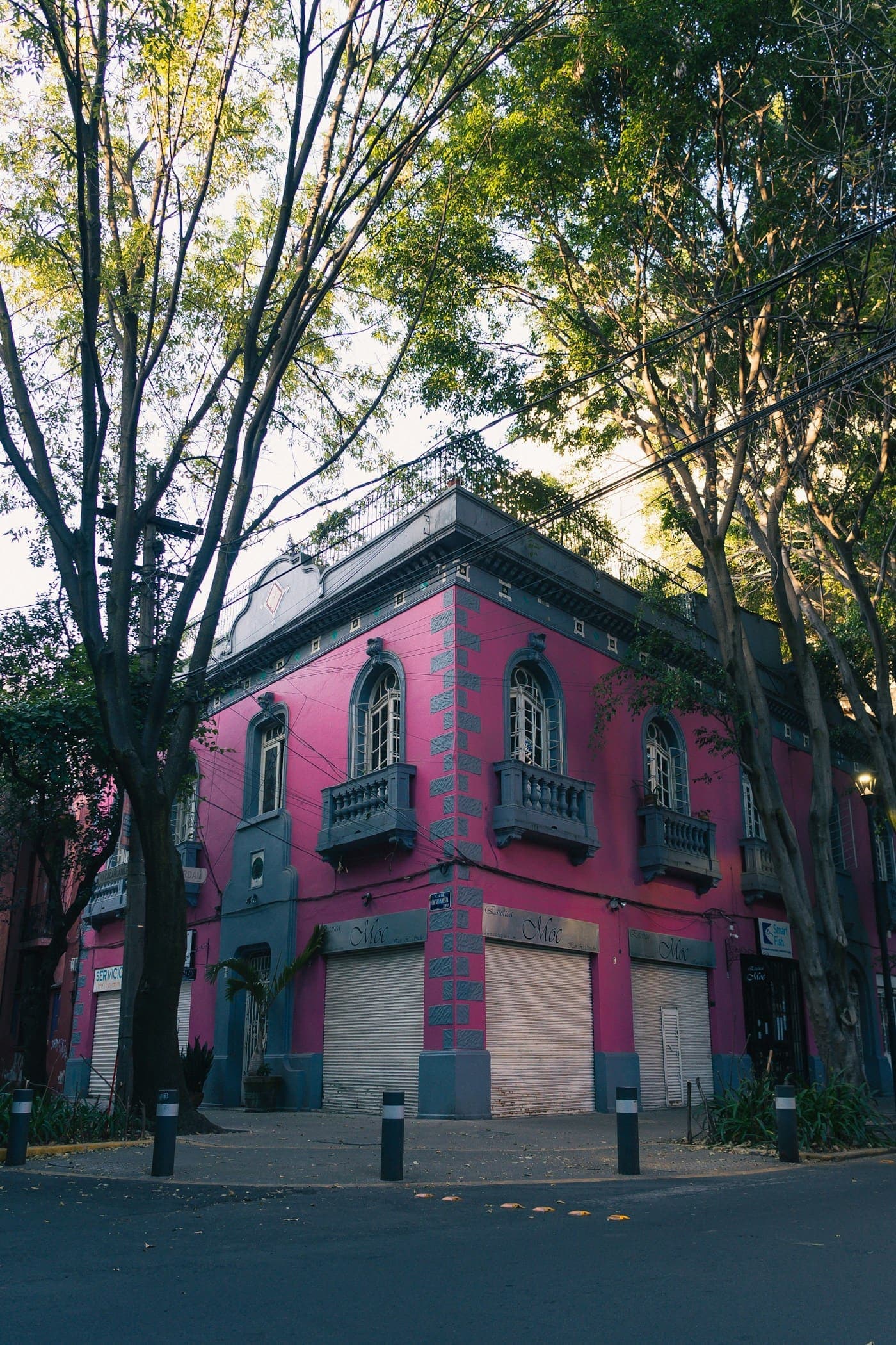 A pink corner house under tall trees in Mexico City's Roma district