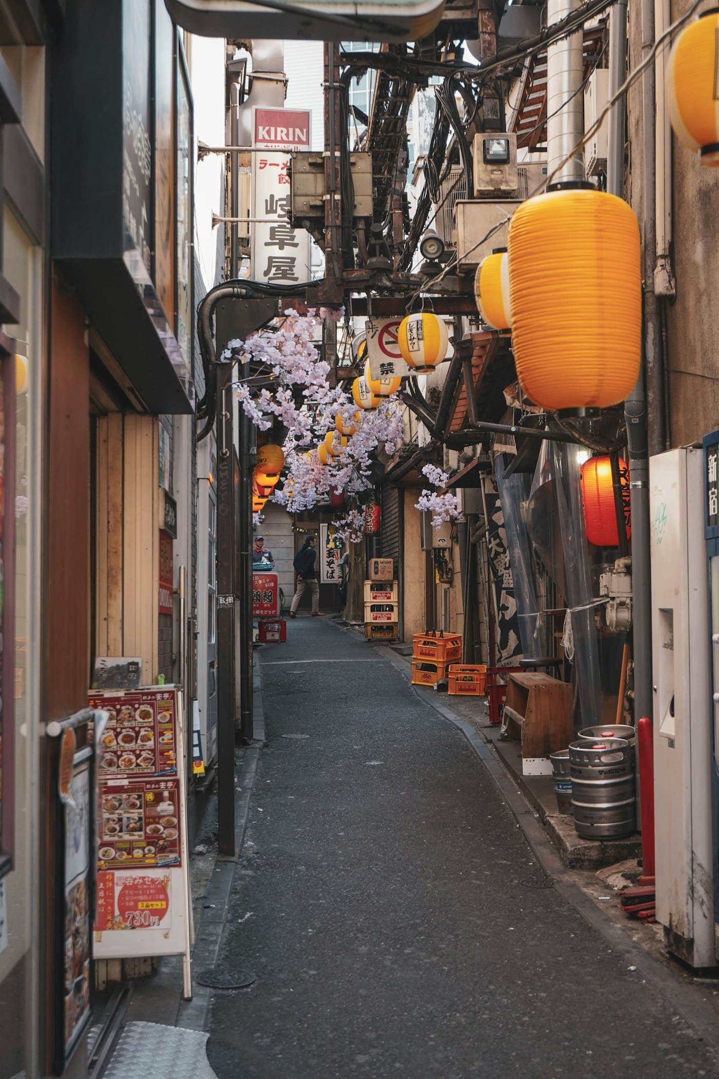 A narrow Tokyo alley with paper lanterns and blossom